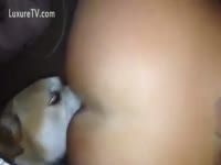 [ Beast Sex ] Dog engulfing tattooed arse